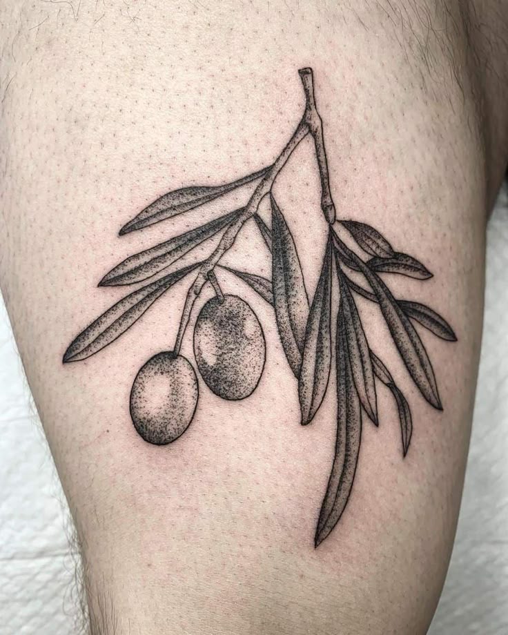 30+ Best Olive Branch Tattoo Design Ideas (2021 Updated!)