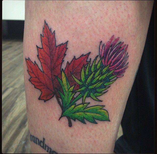 Canada and Scotland small tattoo design. Scottish thistle and maple leaf  tattoo on le. Edmonton tattoo artist