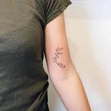 ber 500 der besten Efeu-Tattoo-Ideen 2026