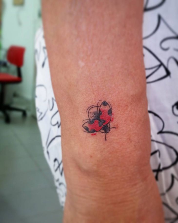 12+ Ladybug Tattoo Designs, Ideas