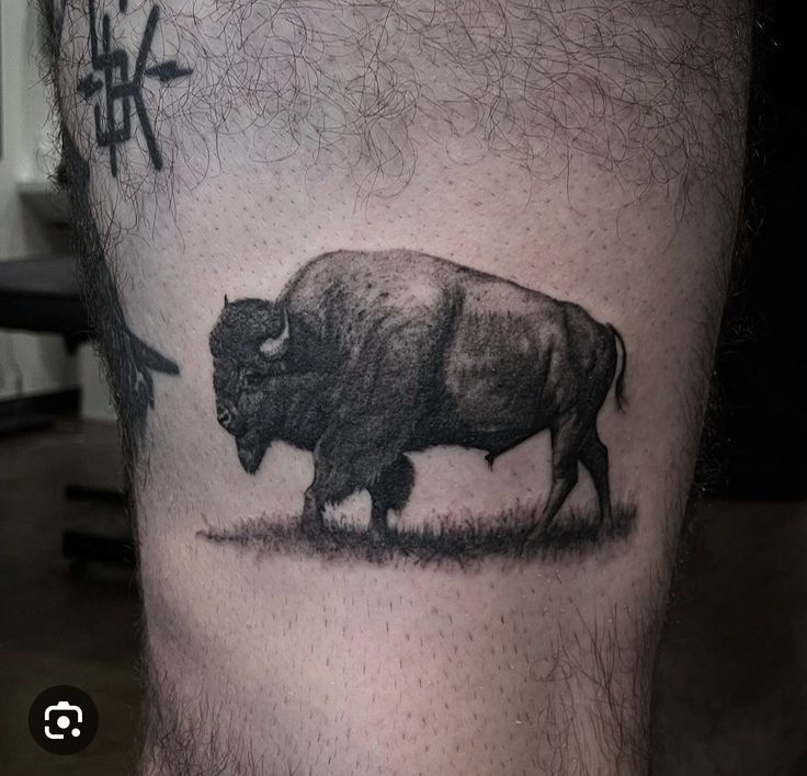 Pin by Alli Gilbreth on Beautiful Permanent Art in 2025 | Bison tattoo, Cool  small tattoos,