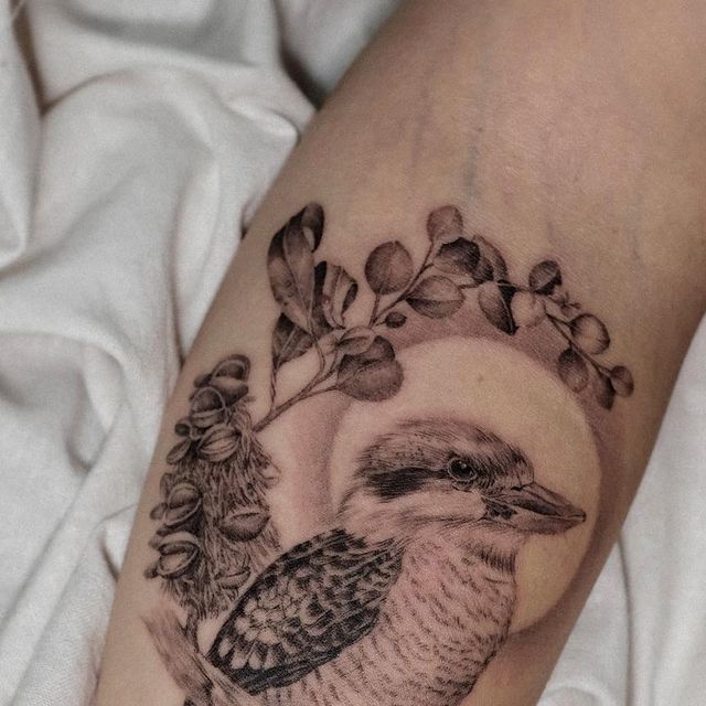 Heize on Instagram: "with a Kookaburra🌿 Thanks @ssnezz - - - - - - - - - - #sydneytattoo #sydneytattooartist #sydneytattoos #sydney #시드니 #시드니타투 #sydneybeauty #sydneyartist #sydneyartist #kookaburra #gumnuts #kookaburratattoo #australiatattoo ...