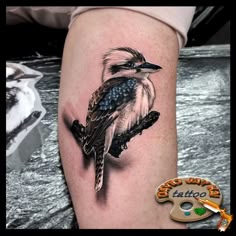 10 Tattoo Ideas | australia tattoo, australian tattoo, small tattoos