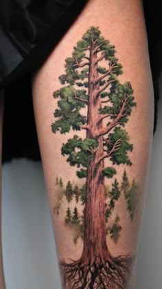 Cedar Tree Tattoo Lebanon