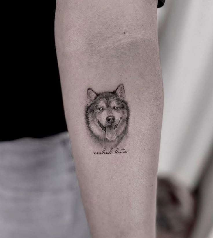 Husky Tattoo, husky tattoo ideas, siberian husky tattoo, small husky tattoo,  simple husky tattoo
