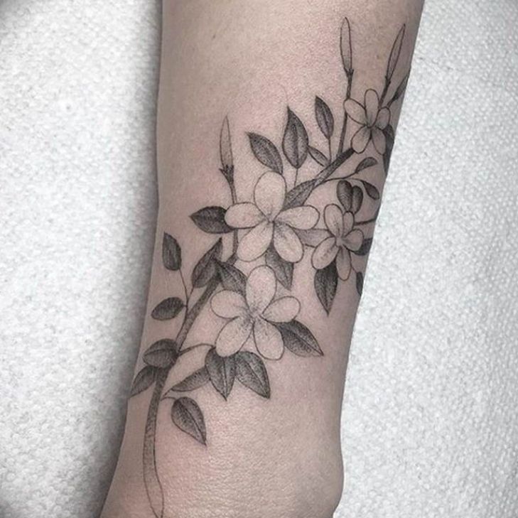 Photo jasmine branch tattoo18.06.2019 №001 - tattoo - tatufoto.com -  tattoovalue.net