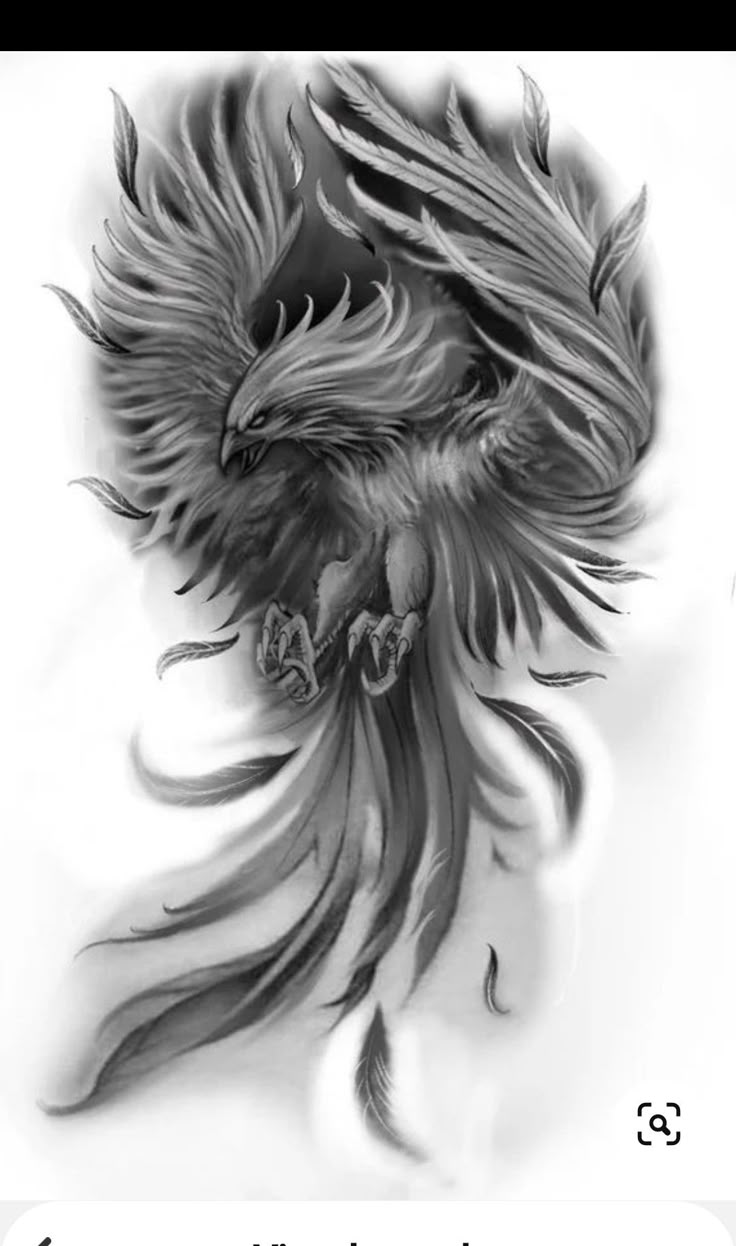 Pin by Nicole Ross on Phoenix tattoo design | Tattoo designs men, Phoenix  tattoo design, Pheonix