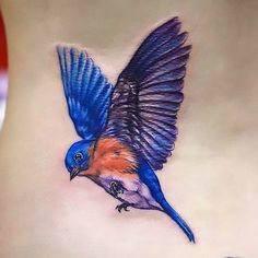 35 Best blue bird tattoo ideas | birds tattoo, bluebird tattoo, blue bird