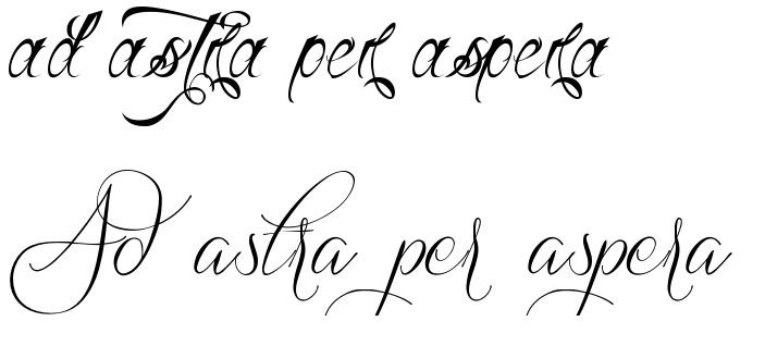 Ad astra per aspera A rough road leads to the stars Armageddon