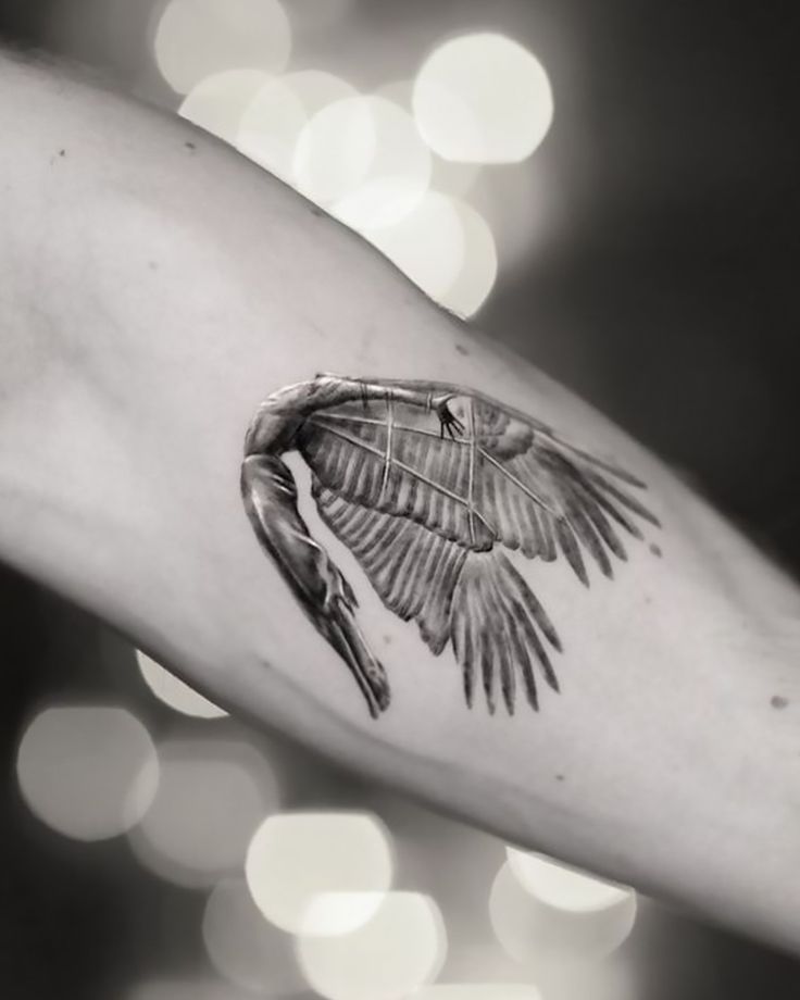 Stunning Icarus Tattoos
