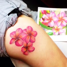Discover 130 Plumaria Tatoos and Hawaiian Flower Tattoos Ideas | tropical flower tattoos, hibiscus tattoo, hawaiian turtle tattoos and more