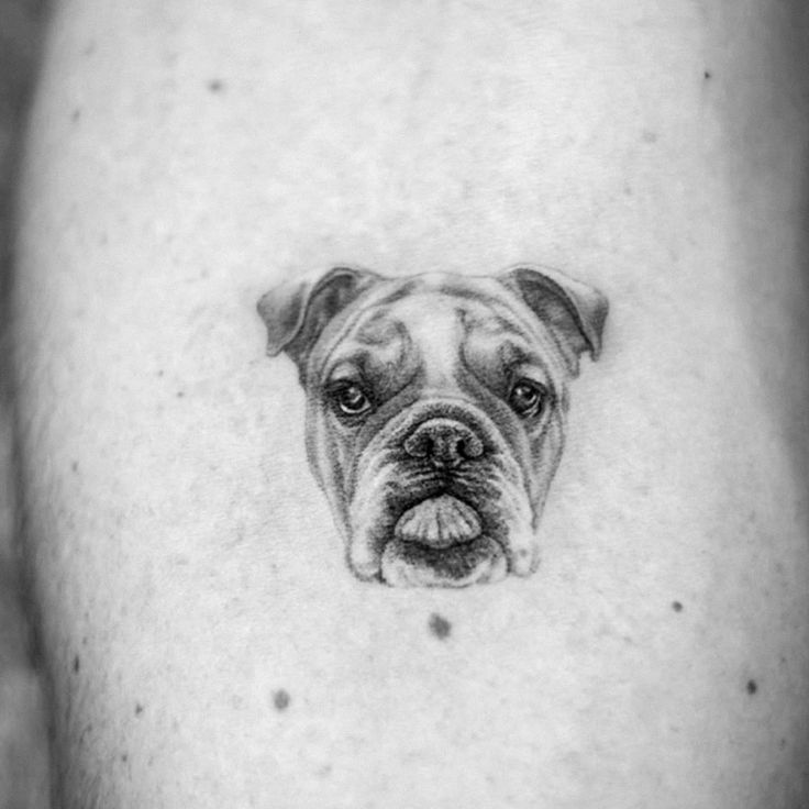 Eye-Catching English Bulldog Portrait Tattoo Ideas