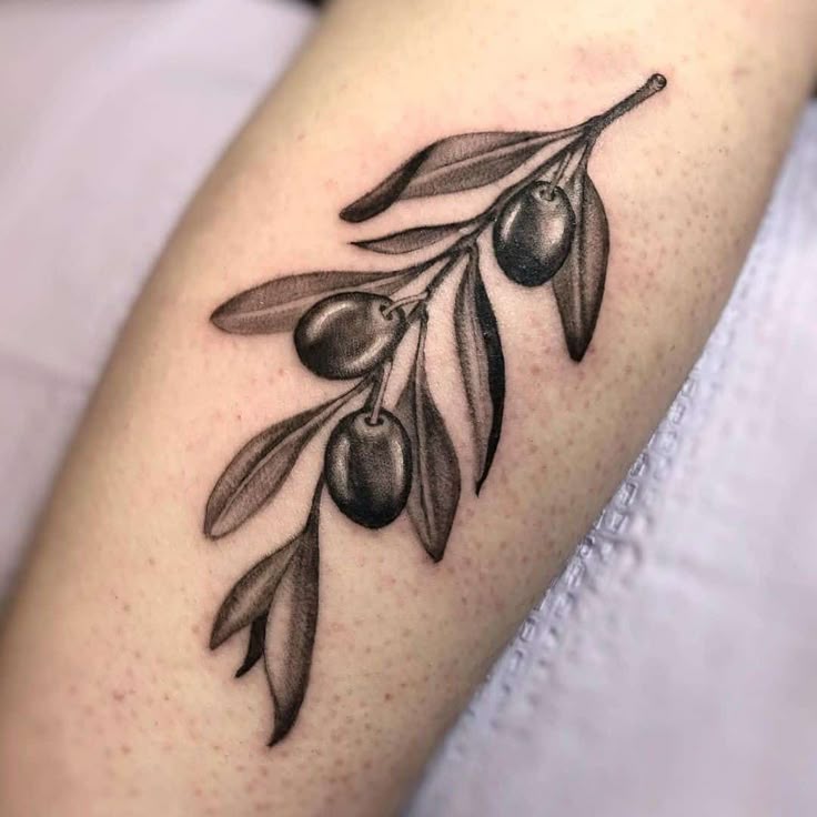 30+ Best Olive Branch Tattoo Design Ideas (2021 Updated!)