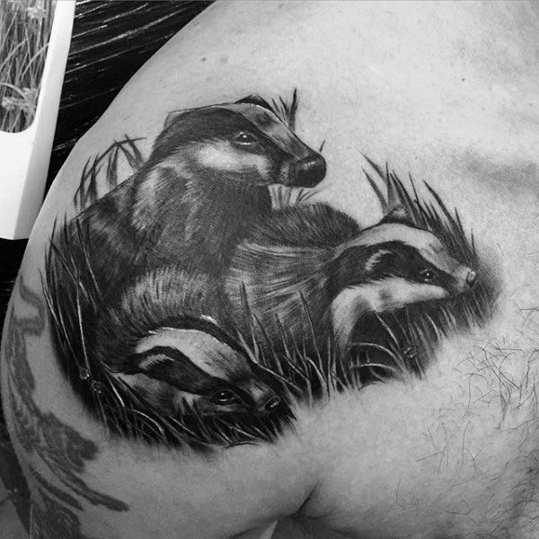 Pics Photos - Honey Badger Tattoo Picture | Honey badger tattoo, Picture  tattoos, Badger tattoo