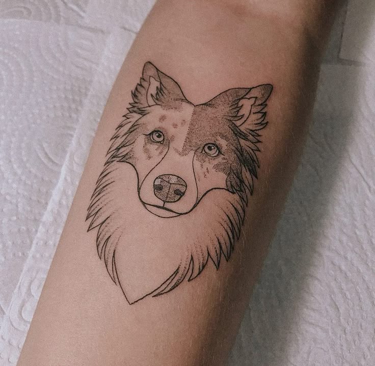 18 Best Border Collie Tattoo Ideas