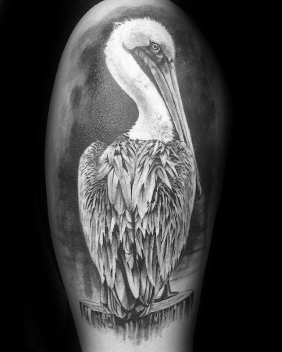 50 Pelikan Tattoos für Männer – Wasservogel Design-Ideen - Mann Stil | Tattoo