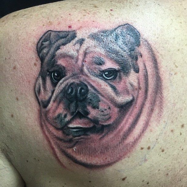 Top 40+ Best English Bulldog Tattoo Ideas And Designs - The Paws