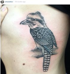 20 Kookaburra tattoo ideas | australian tattoo, birds tattoo, tattoos