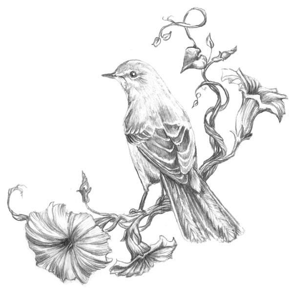 Great idea for a mockingbird tattoo.