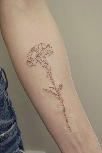 Exploring 30+ Carnation Flower Tattoo Ideas