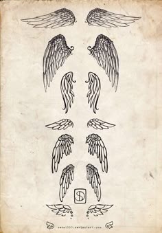 19 Angel Wing Tattoo Ideas | angel wings tattoo, wing tattoo, wings tattoo