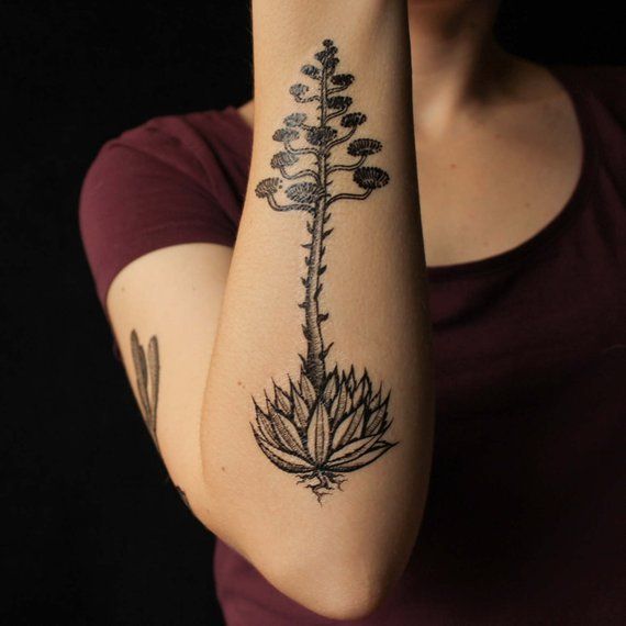 Agave Blooming Temporary Tattoo Century Plant Desert | Etsy