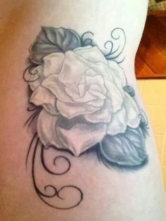 Discover 23 Gardenia Tattoo Ideas and White Gardenia Flower With Text Ideas | gardenia flower in sunlight, hummingbird and gardenia tattoo, what does a gardenia flower symbolize and more