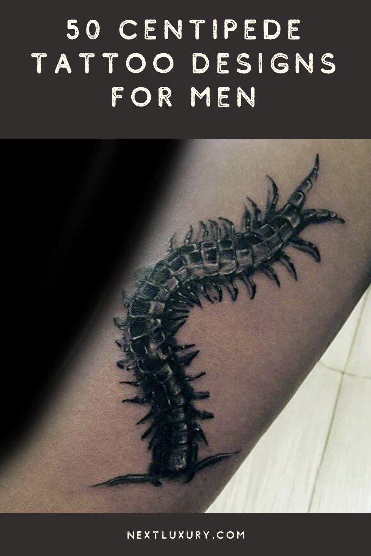 50 Centipede Tattoo Designs For Men - Insect Ink Ideas