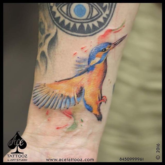 The client came from Isle of skye, #Scotland and He was very clear on what  he wanted.. This colorful, tough little bird is a good choice for people  who enjoy hard work,