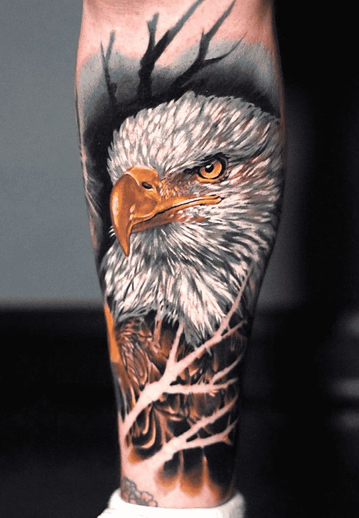 Bald Eagle Tattoo Design Ideas Images