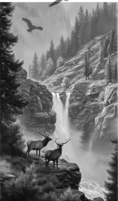 29 River ideas | forest tattoos, tree tattoo, nature tattoos