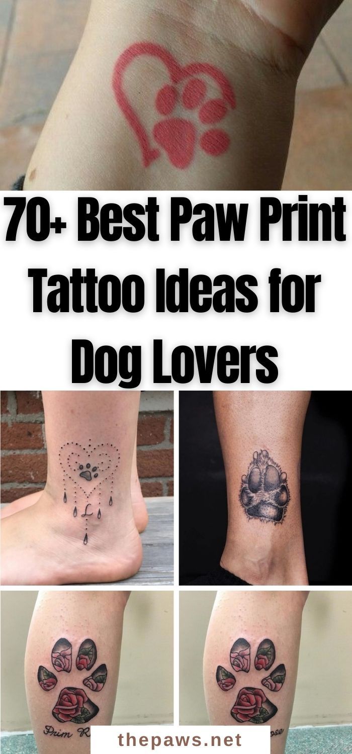 70+ Best Paw Print Tattoo Ideas for Dog Lovers - The Paws
