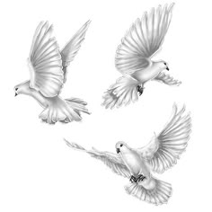 400 Dove Tattoo Designs ideas | dove tattoo, dove tattoo design, tattoo  designs