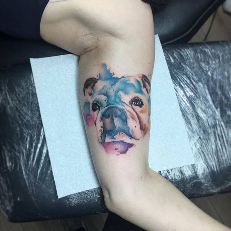 Top 40+ Best English Bulldog Tattoo Ideas And Designs - The Paws