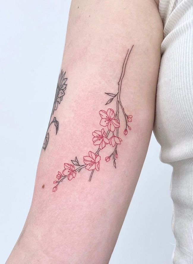 Fine Line Cherry Blossom Tattoo For The Arm