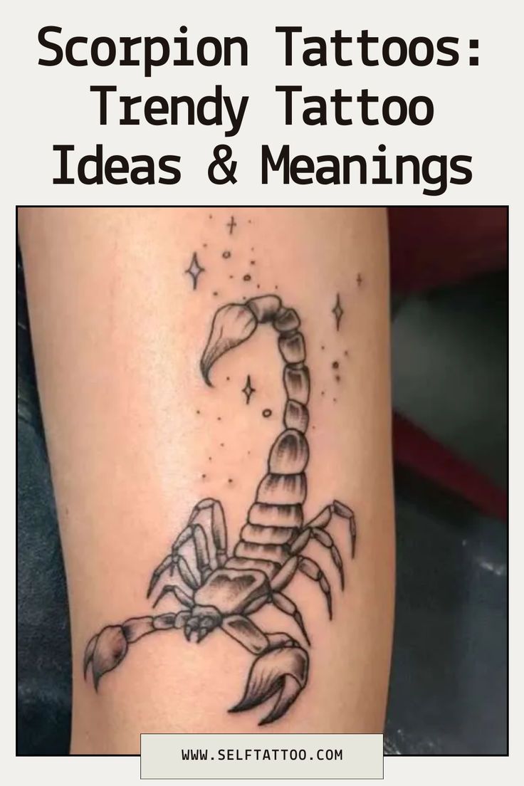 Scorpion Tattoos: Trendy Tattoo Ideas & Meanings