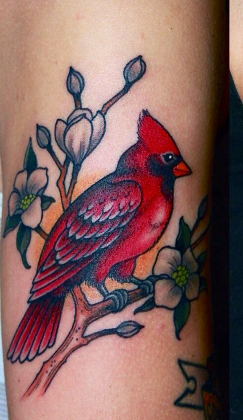 180+ Best Cardinal Tattoos Designs With Meanings (2025)