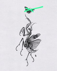 10 Praying mantis ideas | mantis tattoo, insect tattoo, praying mantis