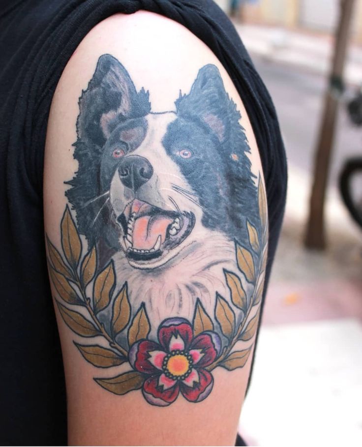 18 Best Border Collie Tattoo Designs