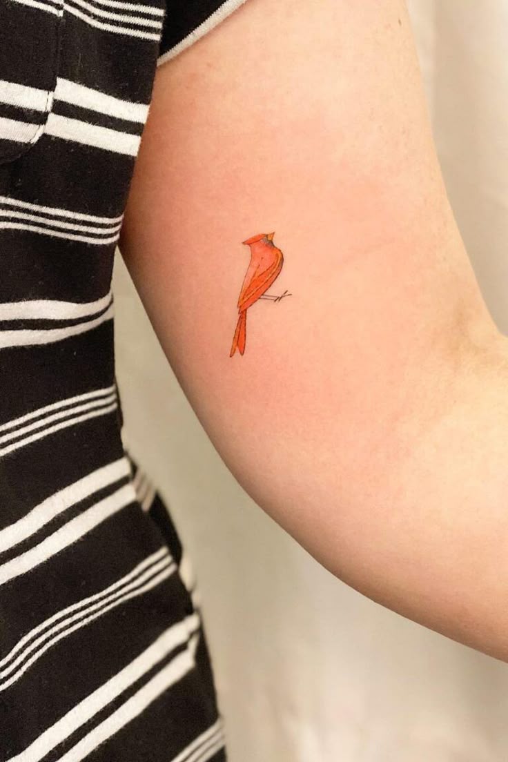 12 Best Small Cardinal Tattoo Ideas