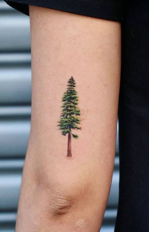 50 Gorgeous and Meaningful Tree Tattoos Inspired by Nature's Path - KickAss  Things