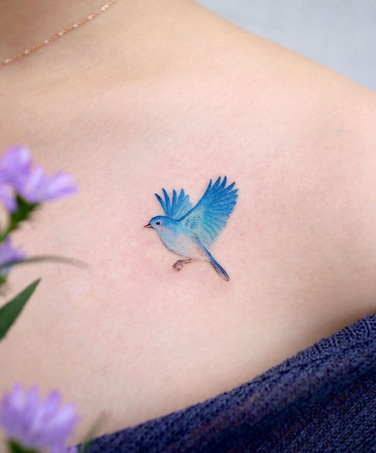 STUDIOBYSOL_eunyu on Instagram: “Blue bird . . . . . . #eunyutattoo  #birdtattoo #studiobysol #colortattoo #koreantattoo #은유타투 #새타투 #컬러타투 #파랑새  #컬러타투”