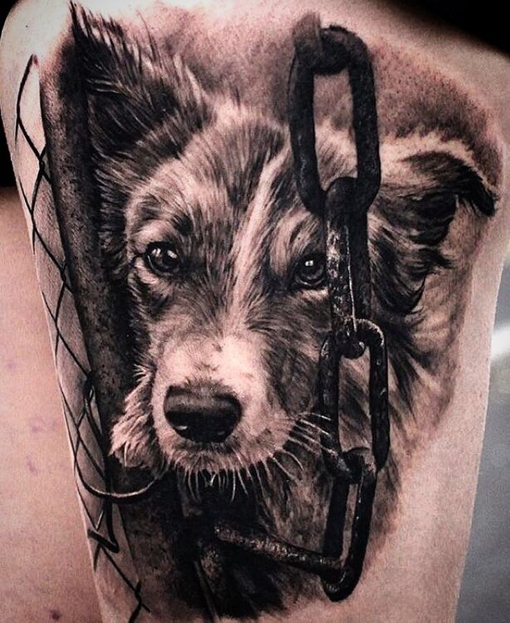 45+ Amazing Dog Tattoos For Border Collie Lovers - The Paws