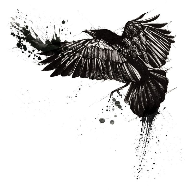210+ Coolest Crow Tattoos Ideas With Meanings (2024)