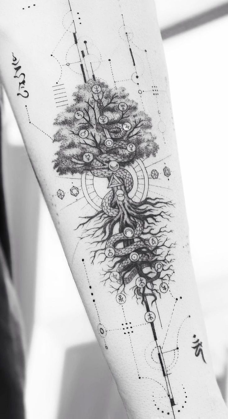 arbre