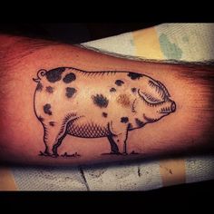 Discover 22 Pig and Pig Tattoo Ideas | pig breeds, pig painting, pig logo and more