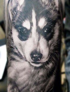 Siberian Husky Tattoos Ideas