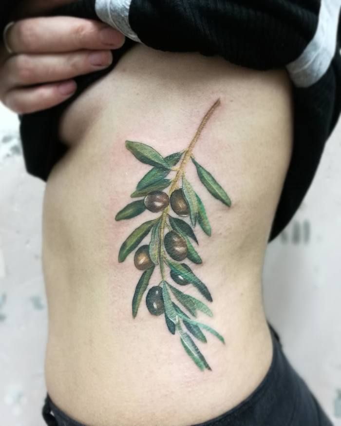 25 Splendid Olive Branch Tattoo Designs - TattooBloq