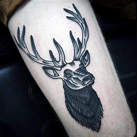 21+ Traditional Deer Tattoo Designs and Ideas