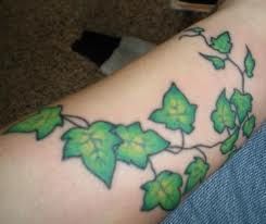 Ivy Tattoos: Meanings, History, and Designs Ideas